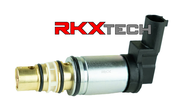 1RKX-RCV-053w_logo_grande.jpg?