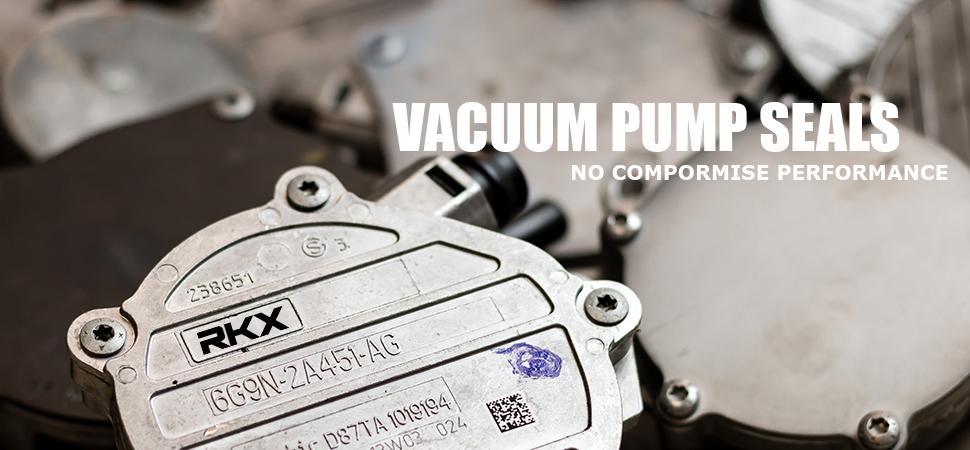 Vacuum Pump Seals